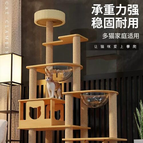 猫窝猫树一体小猫爬架不占地太空舱通天柱猫跳台宠物用品