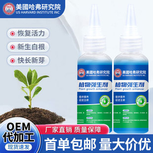 植物再生剂绿植花卉浓缩营养液植物掉叶根系快速生长液冬季防冻