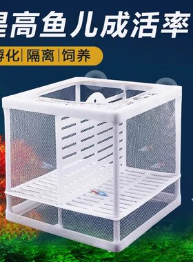 鱼缸繁殖隔离盒隔离网孔雀鱼大号孵化器热带鱼小鱼苗繁殖箱分离网