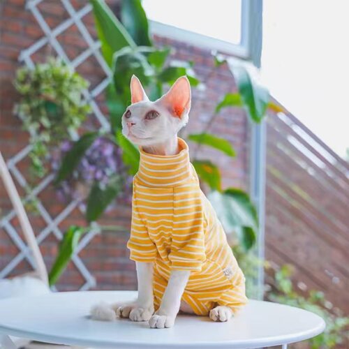 斯芬克斯无毛猫德文猫衣服