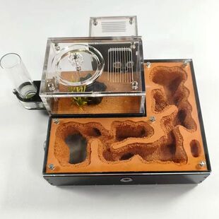 蚂蚁饲养缸城堡可无限扩展拼接宠物蚂蚁新型生态蚁巢工坊
