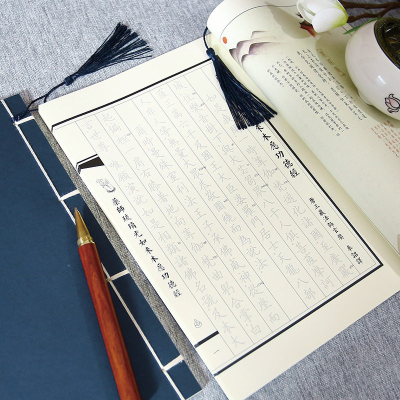 药师经原文临摹字帖佛学手抄本楷书简体成人静心抄经书硬笔练字帖