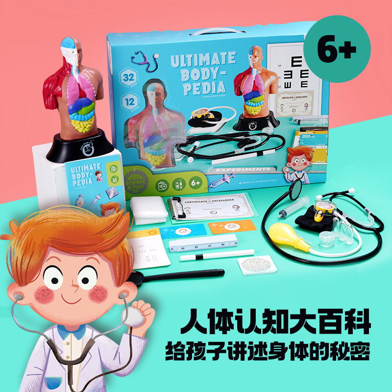人体内脏模型幼儿认识身体科普器官认知玩具抖音STEM儿童医学早教