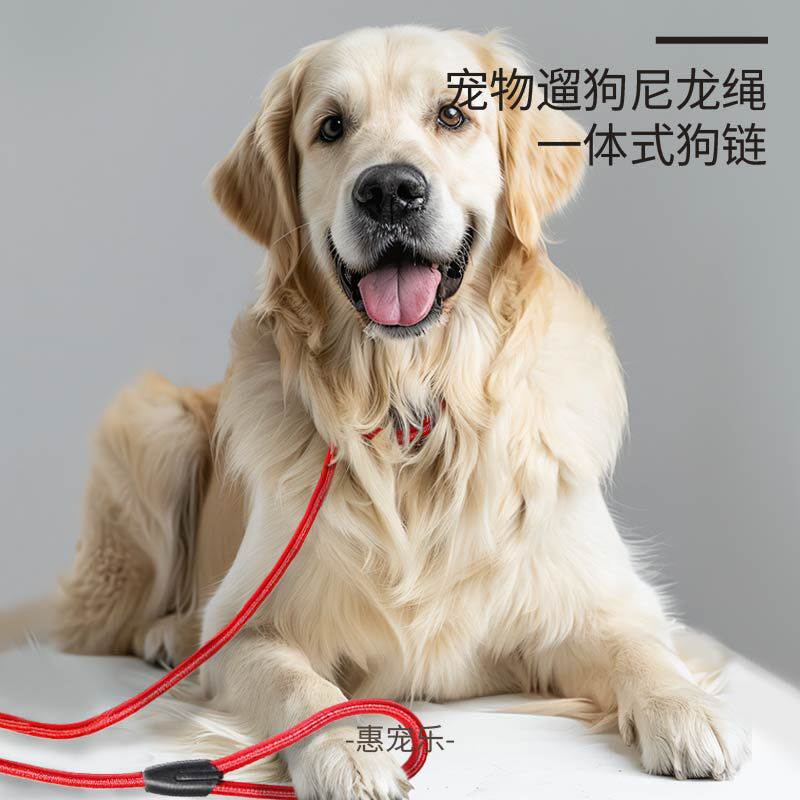 尼龙狗狗卡扣防冲爆牵引绳 耐拉宠物牵引绳P链牵引带 遛狗绳 狗链
