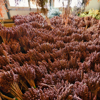 粱新款上市优质干花麦穗客厅装饰仿真拍摄道具店铺橱窗展示花束