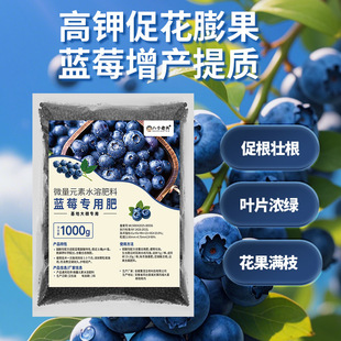 蓝莓专用肥黄叶克星专配微量元素促花保果增甜果粉厚甜度高果匀色