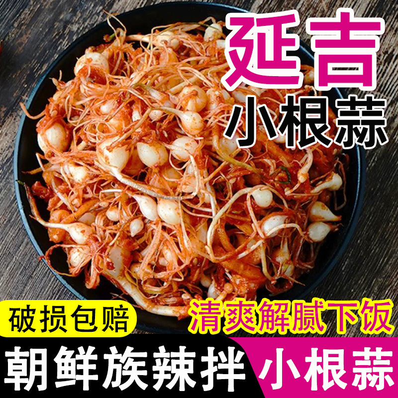 东北朝族延边小根蒜泡菜特产大头蒜野生小头蒜小根菜小根蒜咸菜