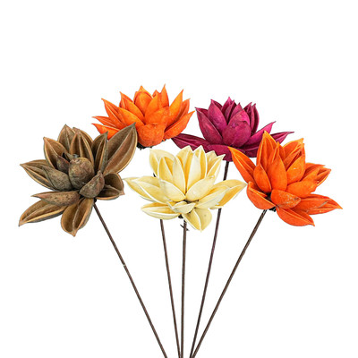 紫荆花家居装饰云楠花汇