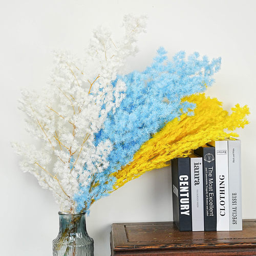 蓬莱松云楠花汇永生蓬莱松