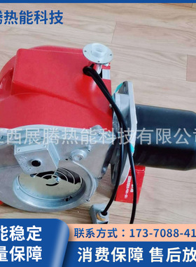 Ecoflam意科法兰燃烧机MAX GAS 250低氮80mg锅炉燃气燃烧器热风炉