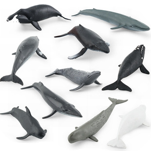 套装10种鲸鱼模型白鲸蓝鲸座头鲸巨头鲸抹香鲸小须鲸小摆件玩具