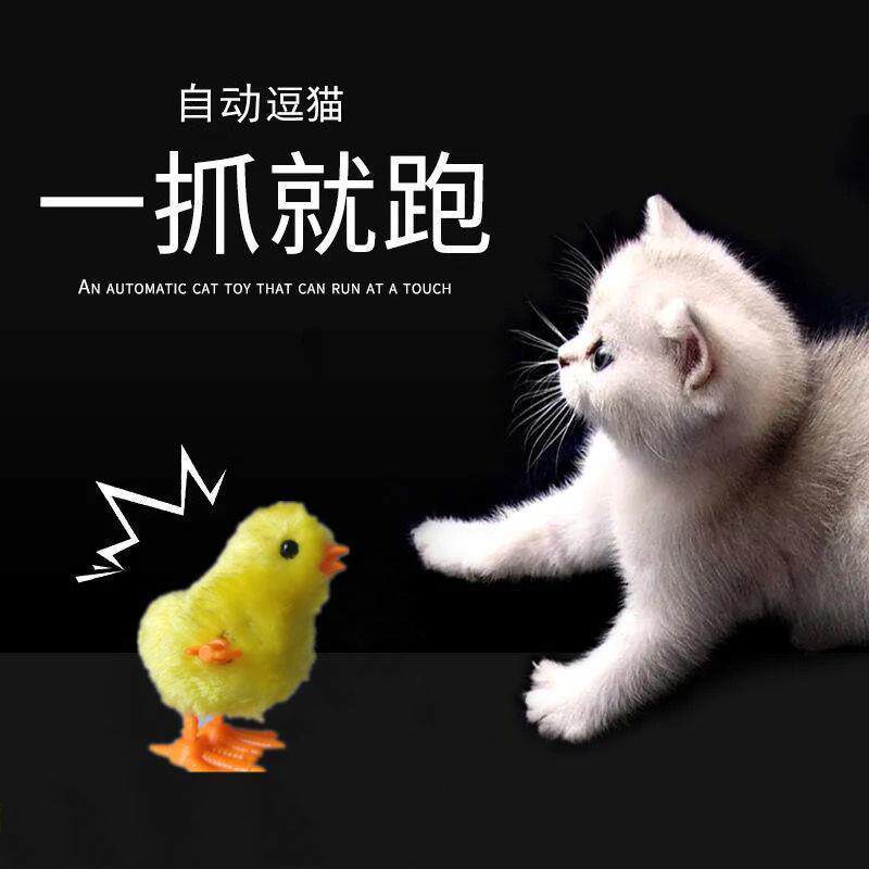 可爱仿真小鸡跳跳会跑的发条玩具逗猫神器猫狗玩具上链猫咪玩具