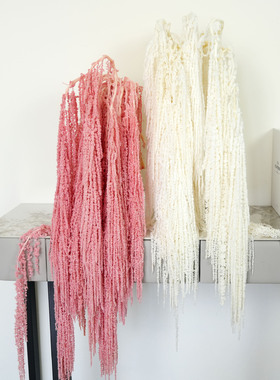 永生吊米柔丽丝保鲜花婚礼婚庆装饰长穗花品质白色红色绿色