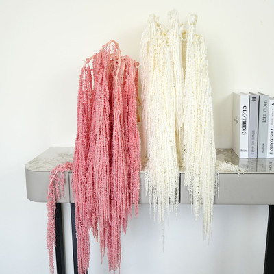 质量好永生花云南花卉工厂直销