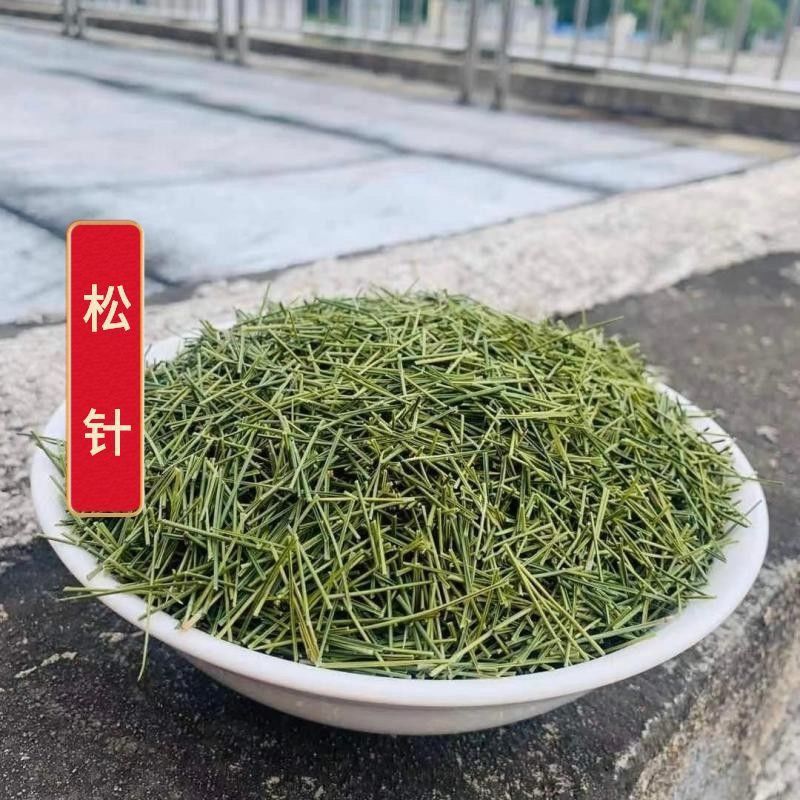 深山无污染古法炮制马尾干松针叶
