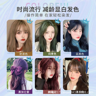 批发黑茶灰色泡泡染发剂懒人家用自染网红爆款植物染发膏纯泡沫型