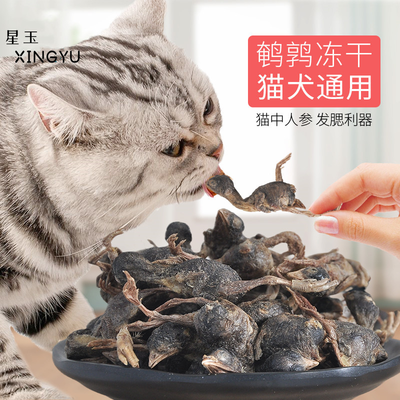 猫狗宠物零食冻干小鹌鹑零食发腮营养猫咪纯肉补钙狗猫零食大礼包