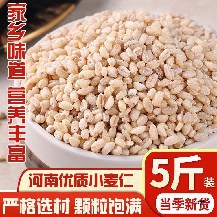 河南小麦仁去皮新麦仁米脱壳带胚芽煮粥饭麦仁营养自产新鲜大麦米