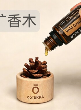 扩香木摆件 无火香薰0标多特瑞松果桌面扩香器木艺聚会礼品