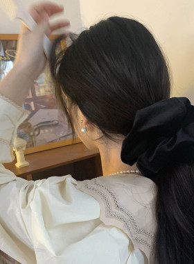 正脸看得到的大号丝绒发圈头饰真丝肠圈可爱发饰后脑勺盘发头绳女