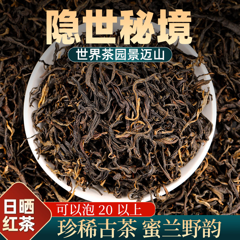 景迈山古乔木头春晒红茶散茶500g