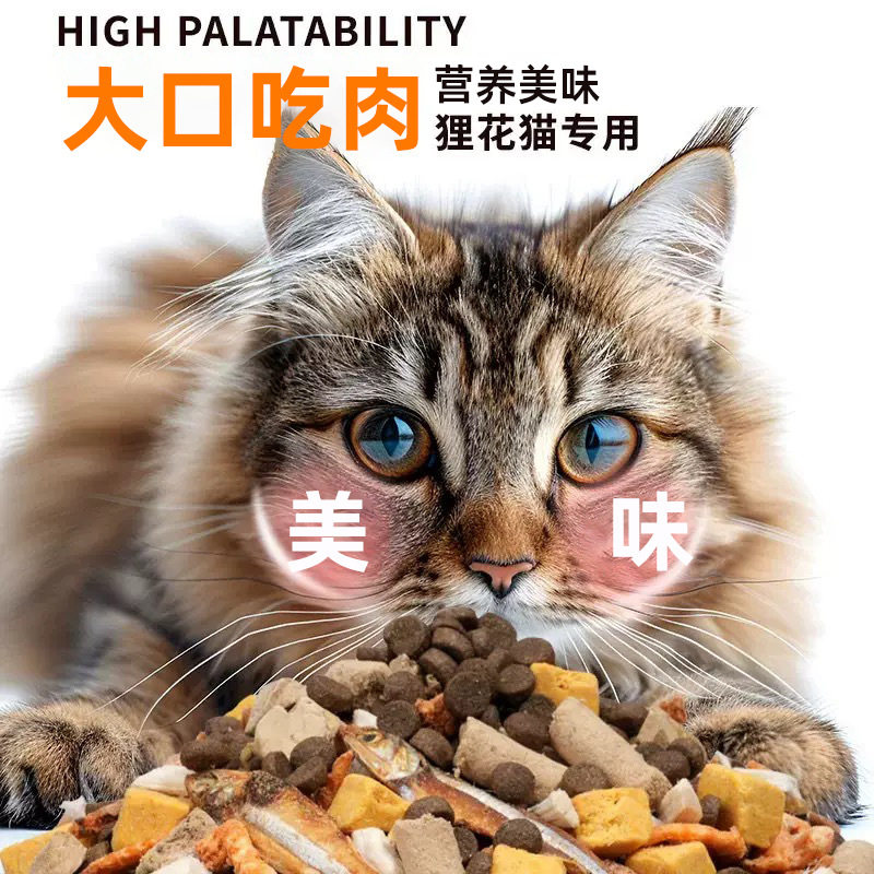 全价猫粮成猫幼猫10斤实惠装