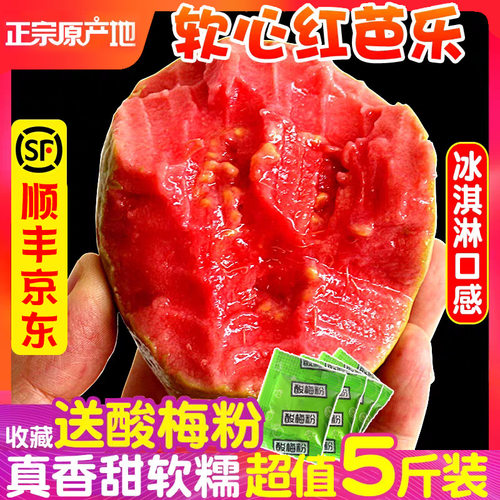 【软心奶油芭乐】广东红心芭乐当季水果5斤新鲜水果