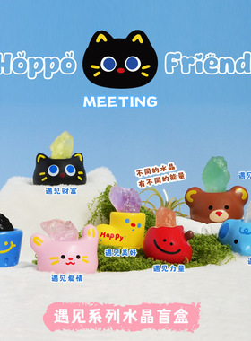 Hoppo Friends遇见水晶盲盒树脂摆件桌面装饰摆件小红书同款