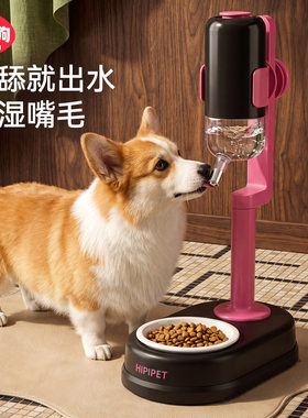 立式饮水喂食器挂笼地立两用猫碗狗碗可调高度陶瓷宠物不锈钢单碗