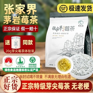 养生茶 张家界莓茶土家芽尖莓茶袋装茅岩莓茶养生龙须藤茶顶