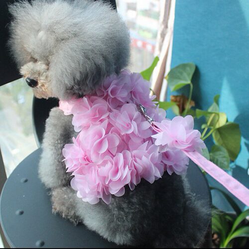 花朵猫牵引绳狗狗猫咪宠物胸背带遛狗春夏透气狗用品背心户外