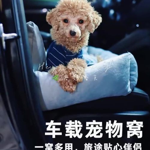 宠物车载窝锁扣安全窝沙发日用品舒适垫适配车内狗狗猫咪日用