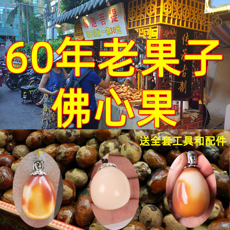 新款释迦菩提原籽空心菩提佛心果金包玉老果吊坠手串手串千眼菩提