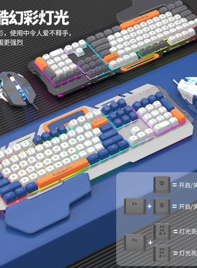 蝰蛇键盘鼠标带手托USB有线拼色