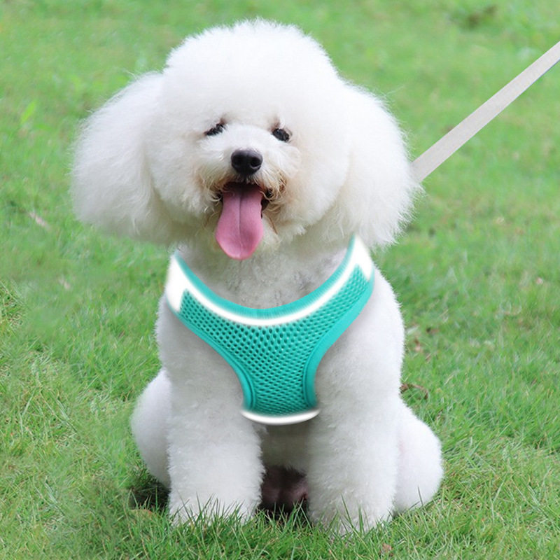 狗狗背心式牵引绳小型犬猫咪遛狗绳泰迪外出防挣脱反光透气胸背带
