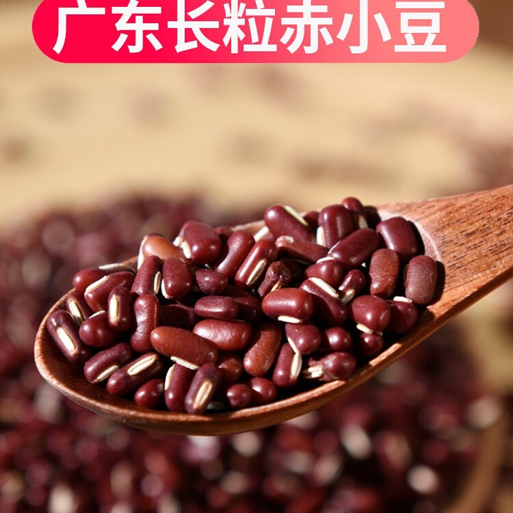 广东正宗赤小豆农家自产纯天然长粒有机红豆赤豆杂粮2025新货500g