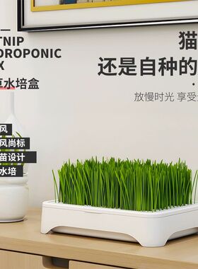 猫草水培种植套装猫化毛猫草盒天然猫草猫零食猫咪用品