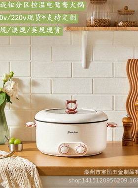 Dual-Zone Electric Hot Pot with Separate Controls (Home/Dorm