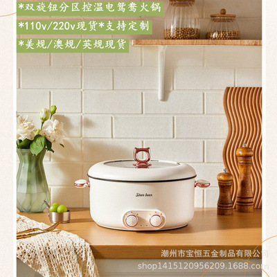 Dual-ZoneElectricHotPot
