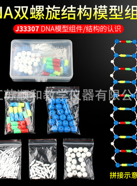 DNA分子双螺旋结构模型碱基核苷酸遗传基因变异高中生物实验教学