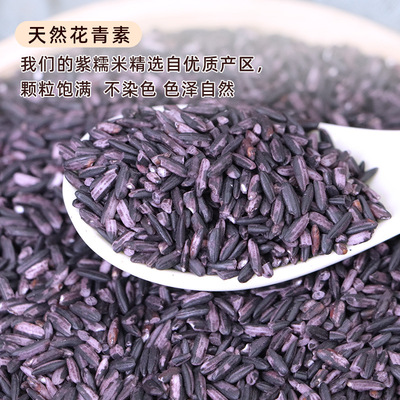 云南墨江紫米当季新米老品种长粒米酒酿可煮粥饭团紫糯米真空包装