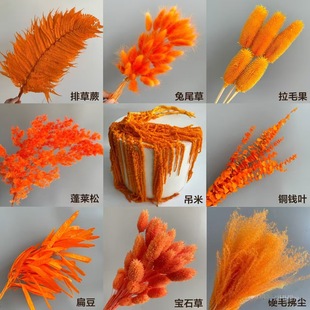 橙色系干花永生花白色吊米粉黛蓬莱松铜钱叶兔尾草排草拉毛果