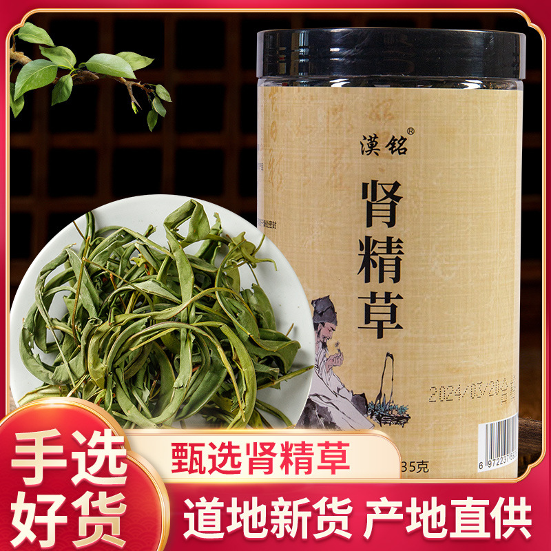 化石草肾精茶肾经草材猫须草长白山发黄金草嗷嗷叫
