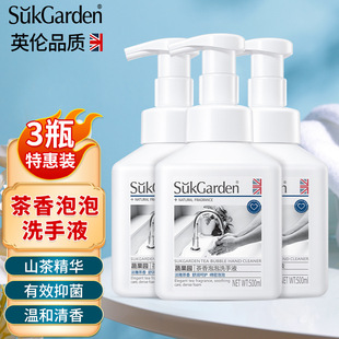 蔬果园茶香泡泡洗手液泡沫轻柔非免洗家用按压洗手液便携型 3瓶装