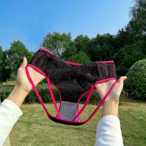 【80-200斤】纯欲新款女士内裤性感网纱镂空诱惑刺绣蝴蝶大码内裤