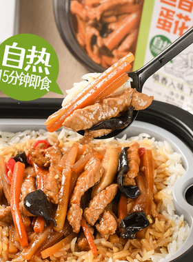 田小花潮牌速食自热米饭294g 红烧肉黄焖鸡台式卤肉饭蛋花芙蓉汤