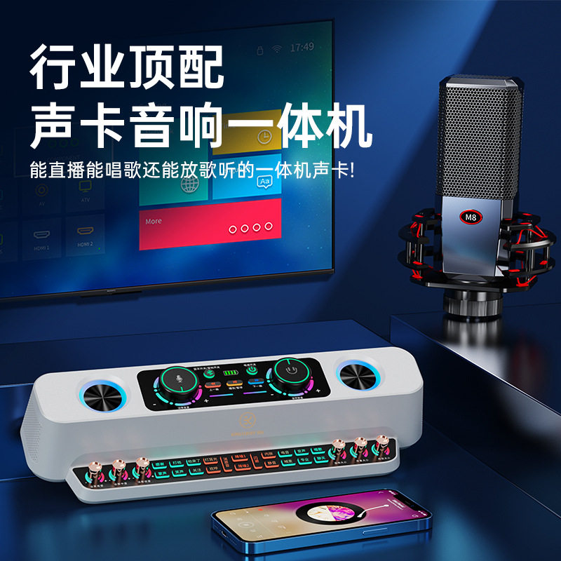 金运s19声卡蓝牙音响内置一体机直播设备麦克风适用于抖音快手K歌