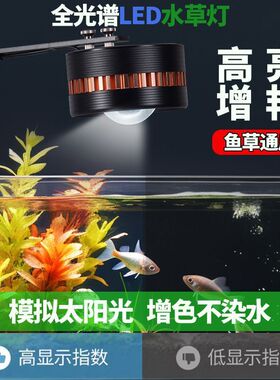 SQG鱼缸灯LED原生溪流WRGB全光谱水草灯爆藻鱼缸观赏鱼灯亮鱼灯
