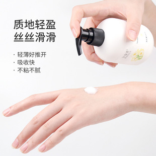 滋润保湿 洋甘菊200ml护手霜 正品 补水秋冬不油腻家庭 自家工厂