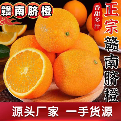 江西正宗赣南脐橙新鲜当季水果产地直发应季橙子现摘甜橙脐橙